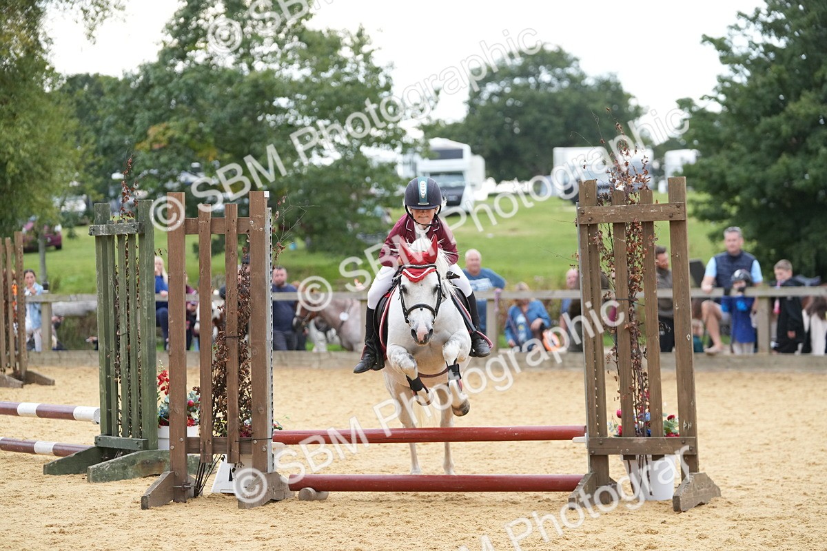 SBM_74612 - J4 - Mini Tour Junior Pony 45cm Championship