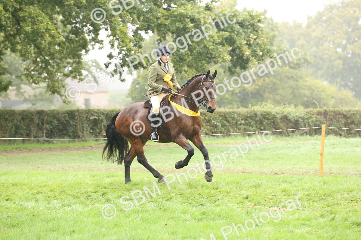 SBM_72911 - Ridden Horse Supreme Championship