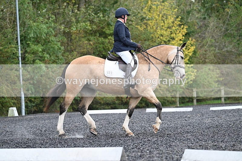 WJ7_4458 - Time 11:43 to 12:09