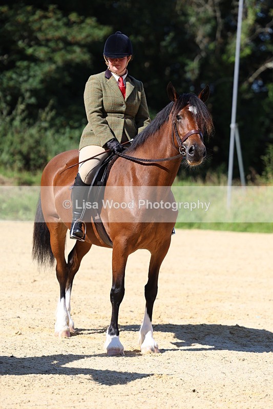 3E7A7938 - Class 14: Tack and Turnout