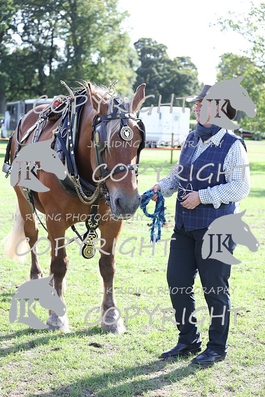 APP_4066 - Class 19 Fancy dress