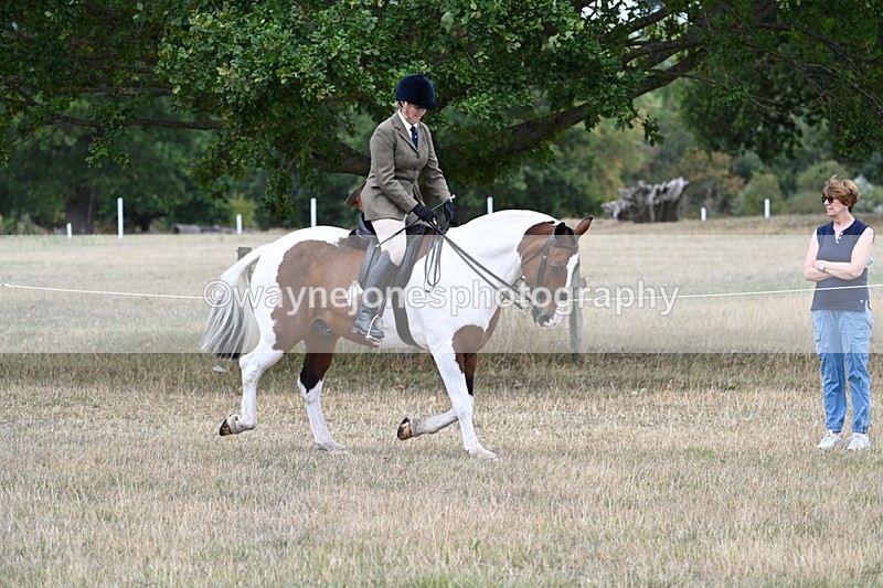 WJ7_4830 - Class 12 Ridden Cob