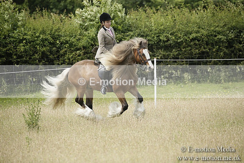 B230619-0435 - Bourne Valley Riding Club Summer Show 23/06/19