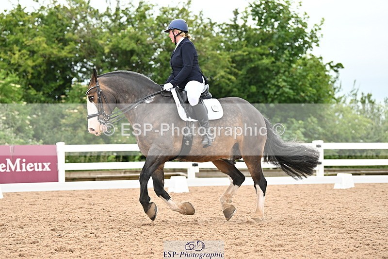 240623A-151757-19548 - Cls 51 BD Elementary 53