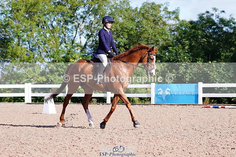 240809A-090158-00126 - Dressage Competition