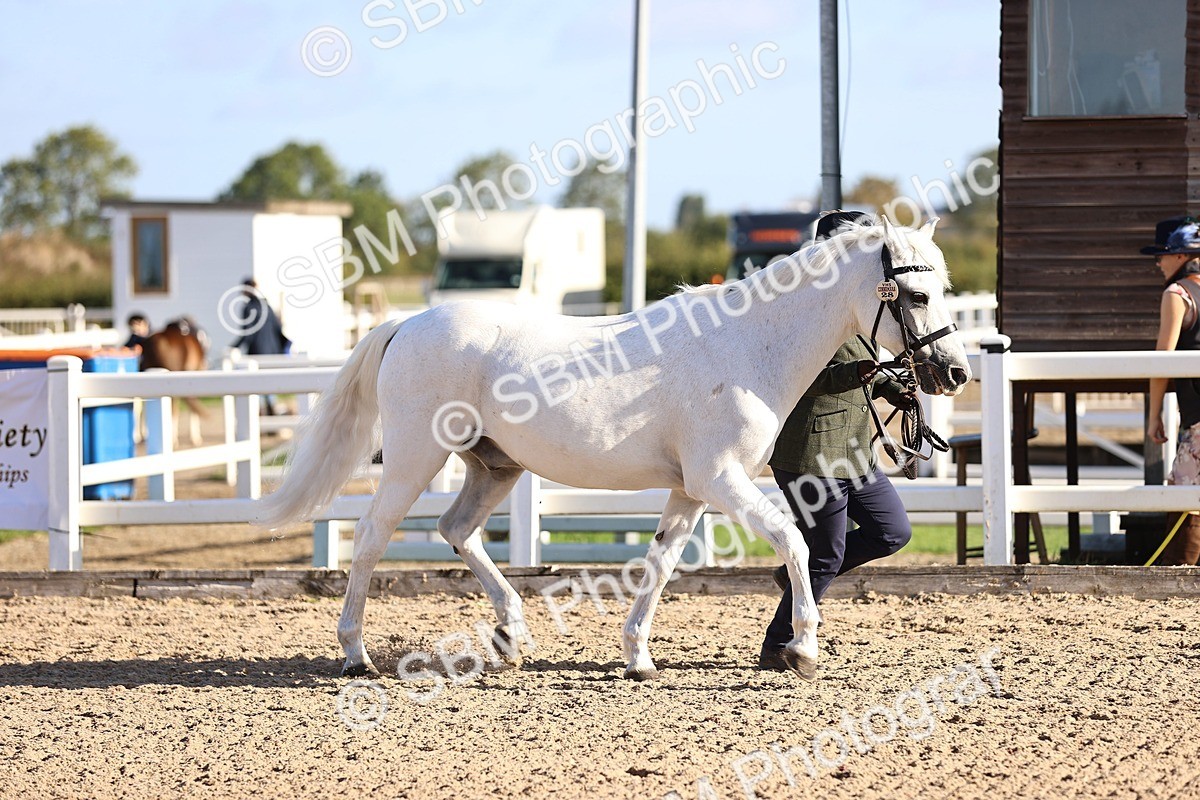 SBM_08427 - Class 402 - IH Veteran Pony