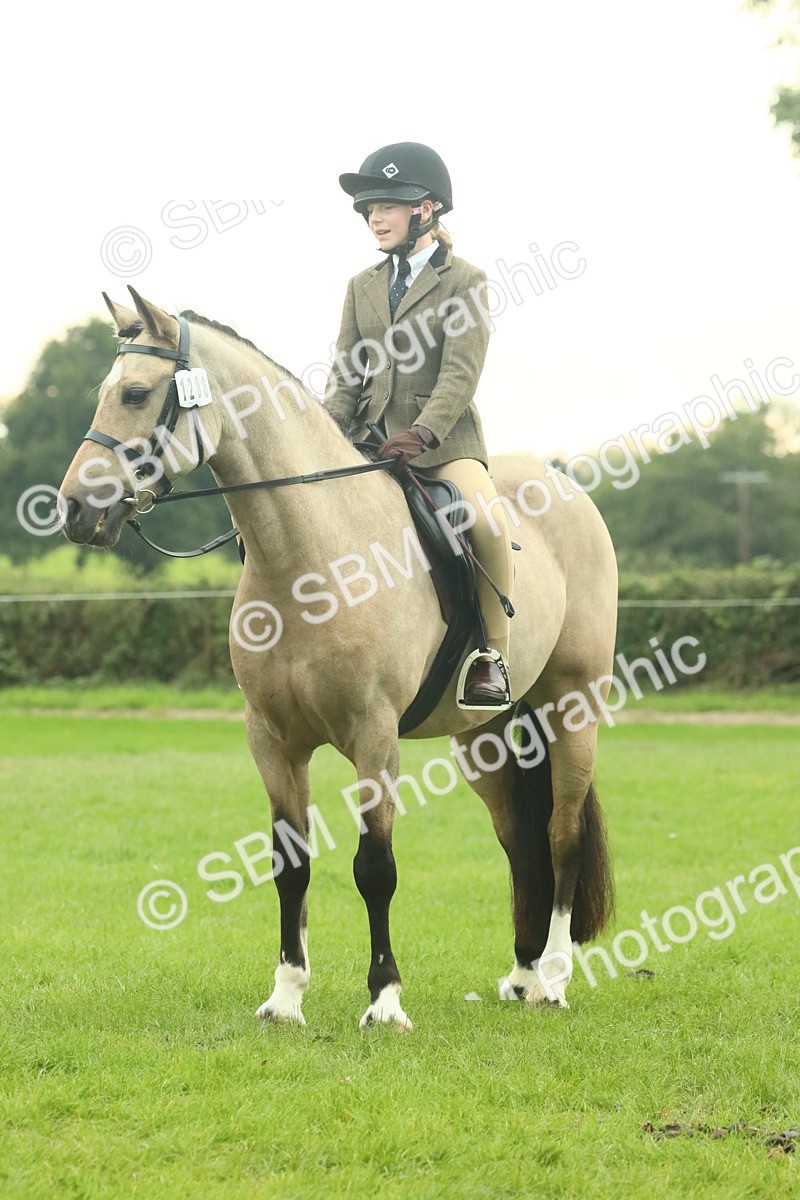 SBM_73974 - S 61 - Show Pony & Show Hunter Pony Ridden