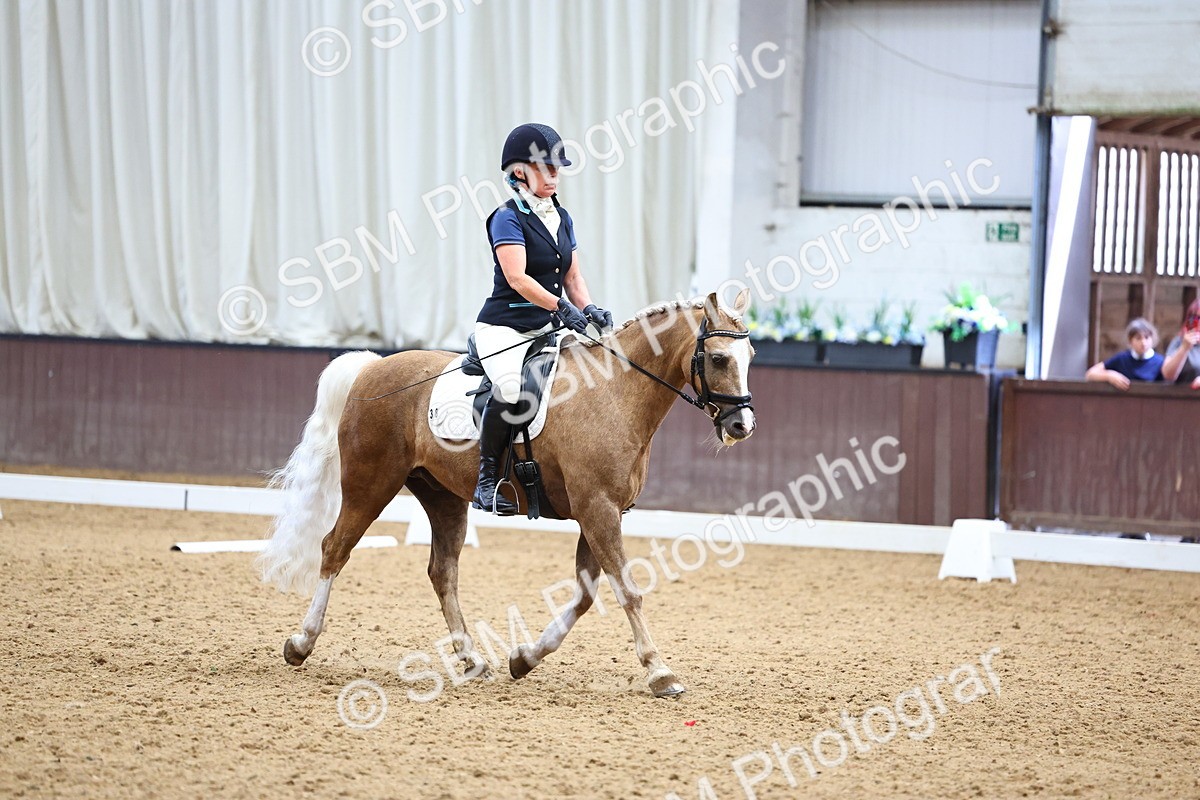 SBM_005557 - Elementary 2