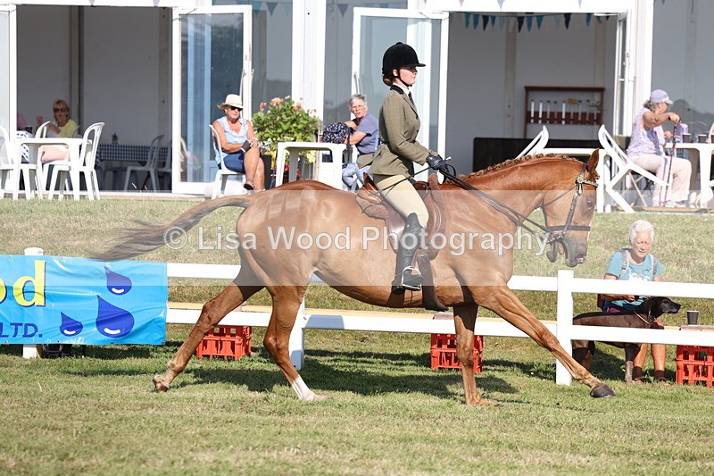 3E7A5553 - Class 2: Rising Star Large Hack/Riding Horse