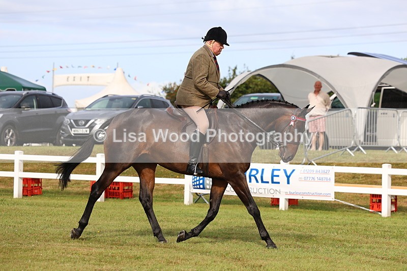 3E7A7984 - Class 2: Rising Star Large Hack/Riding Horse
