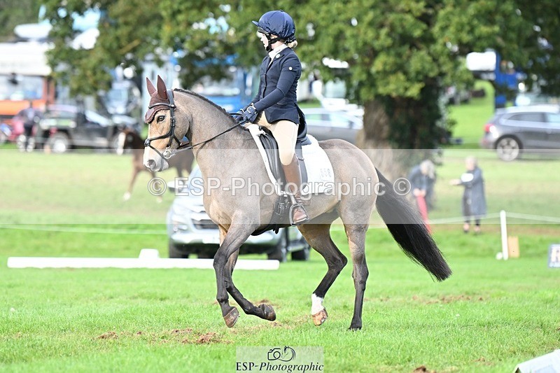 231020-161513-11646 - 558-BATHLEYHILLS.GOLDEN.SPRAY-Cleo.Whitbread-DR