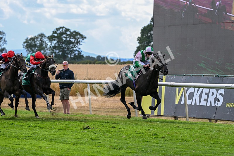 010826-Race 6-La Peregrina-3329 - Race 6 16.22pm Vision PVC Carlton Miniott Thirsk Handicap