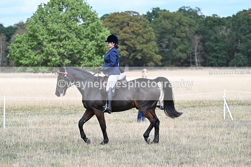 WJ7_5786 - Class 13 Ridden Veterans