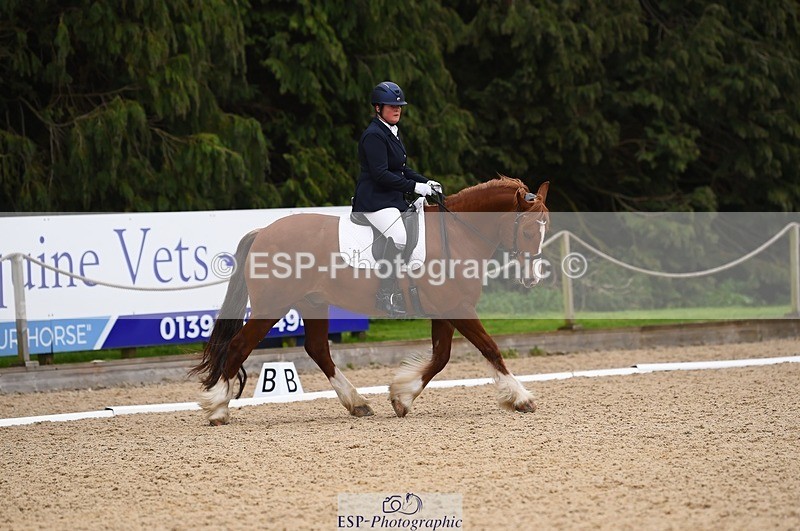230426-111408-00415 - Cls 4 Novice 38Q Start to 11.30 break