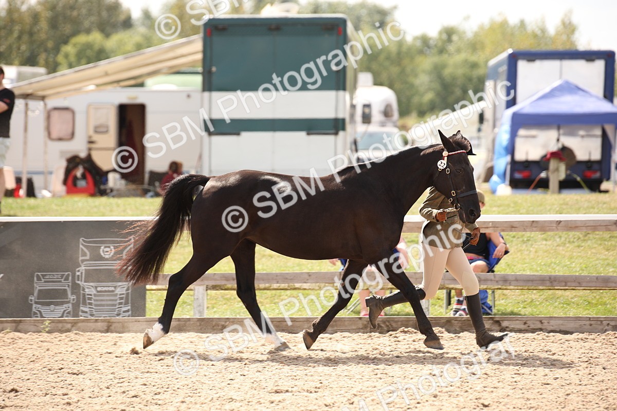 SBM_04553 - Class 20 IH Veteran