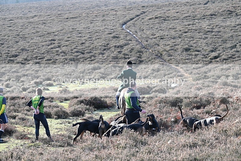 WJ7_8023 - Line 3 (no line 4 or 5)