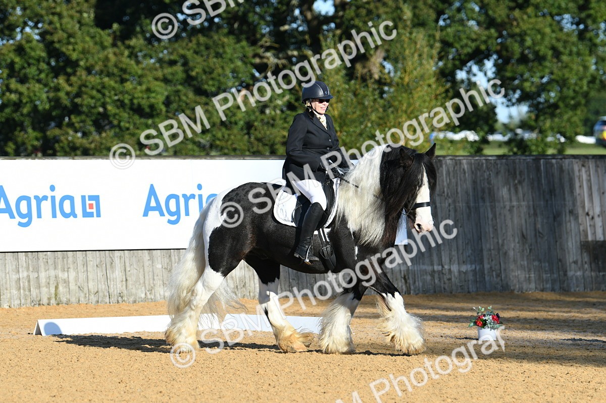 SBM_14461 - D4 - Small Tour Championship - Intro B
