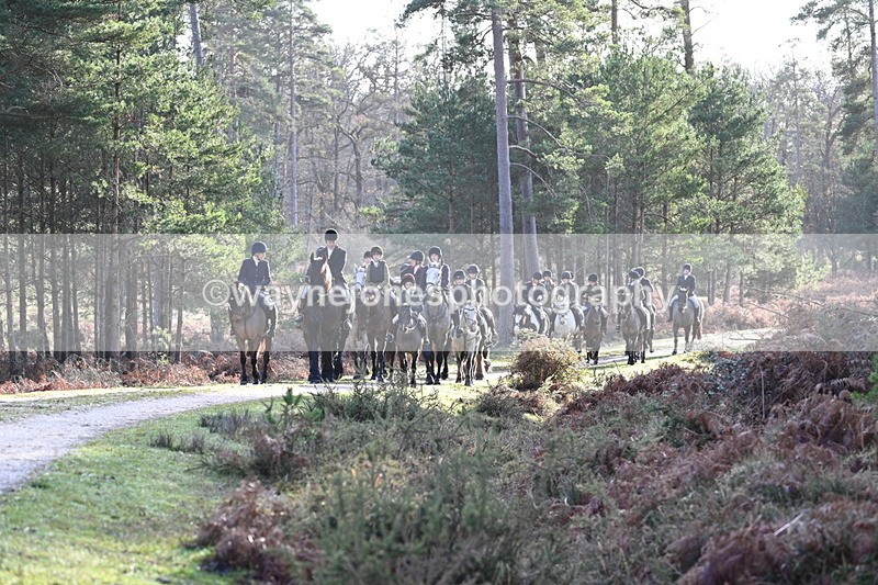 WJ7_7728 - Line 3 (no line 4 or 5)