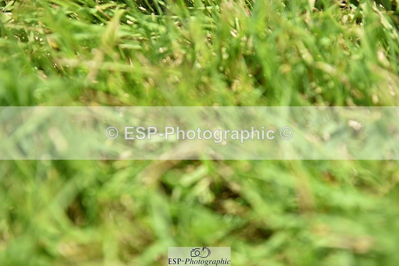 240605-134006-00483 - Cls 5 Elementary 43