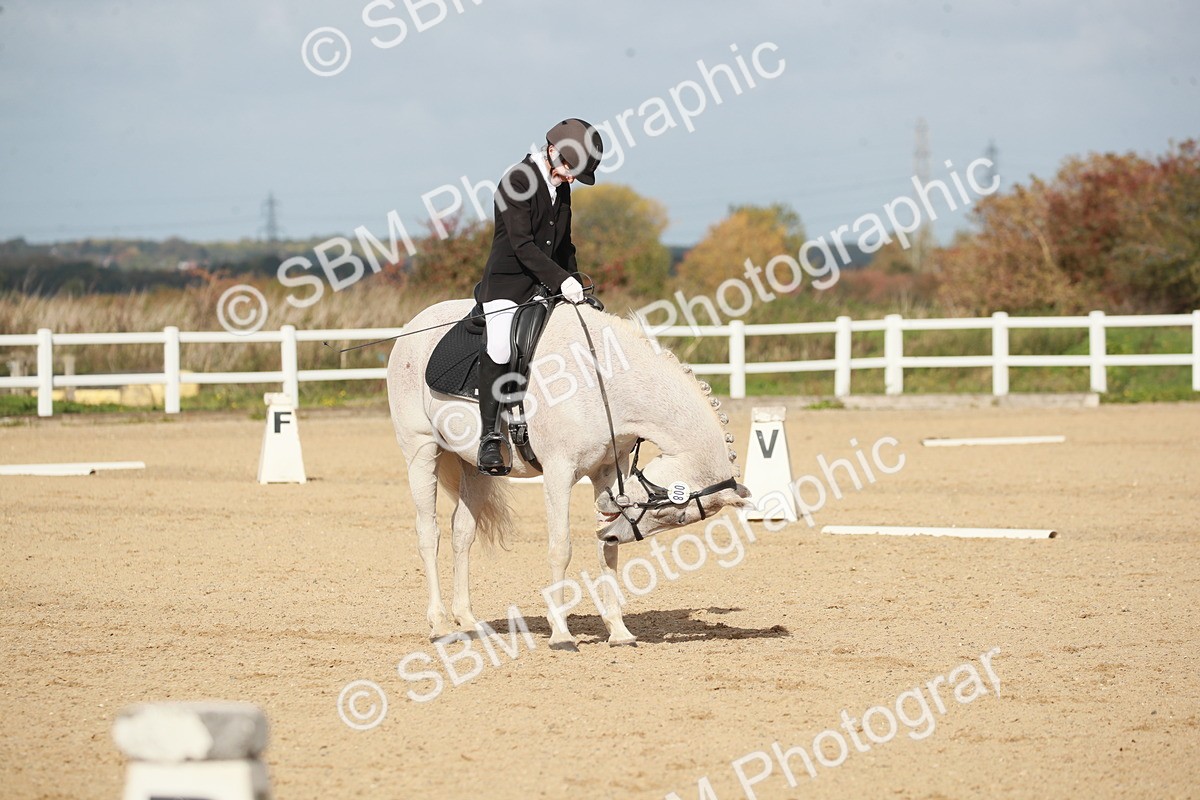 SBM_001799 - Class 4 - Novice 5