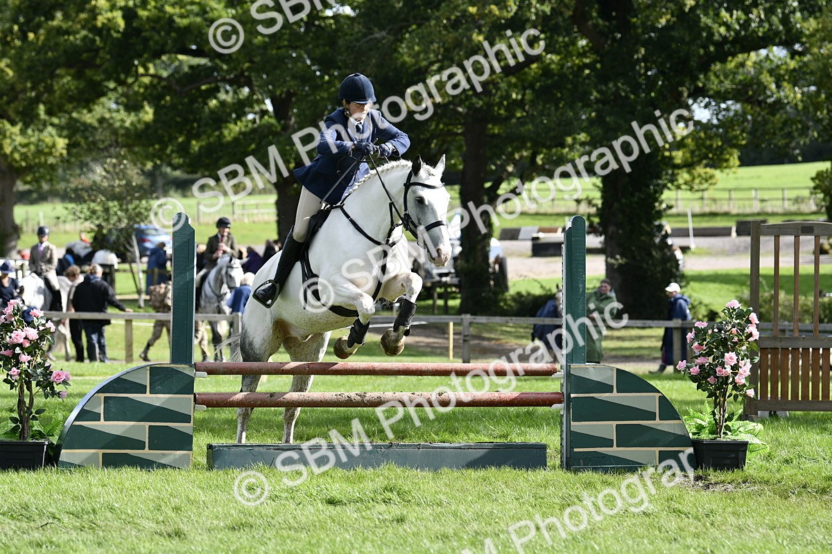 SBM_49973 - S34 - Novice & Newcomers Working Hunter