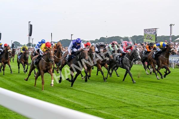 250725-Race 1-Pressures On - Quest For Fun-0216 - Race 1 5.30pm eventmasters.co.uk Handicap