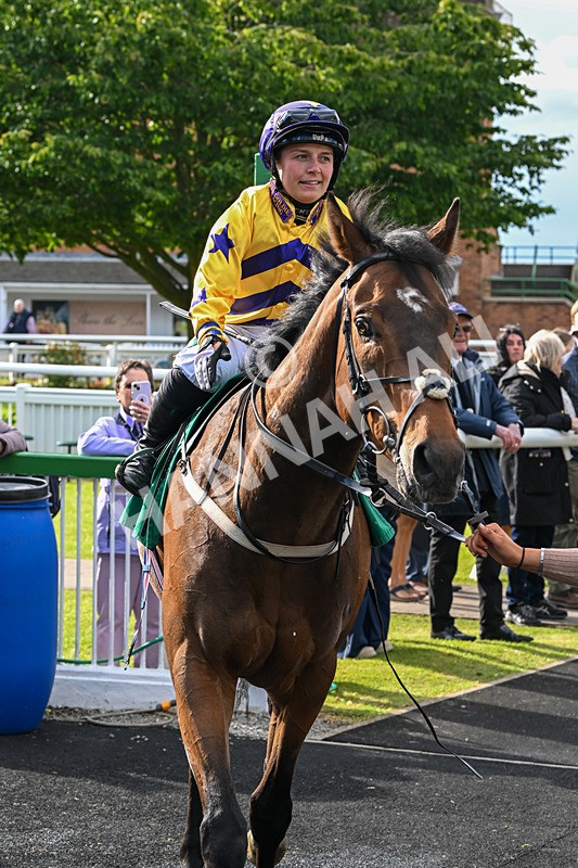 160624-Race 5-American Affair-9029 - Race 5