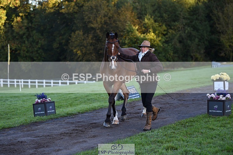 231022-084414-21321 - 637-JOIE.DE.TOURLIDA-Bronia.Hill-TrotUp+SJ