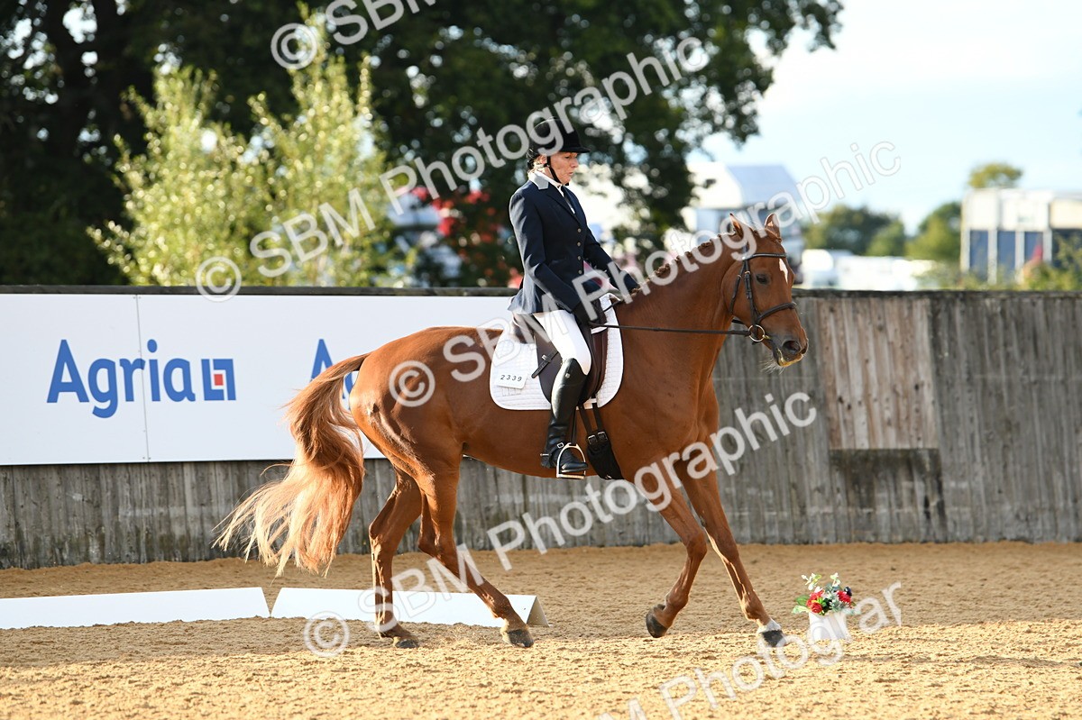 SBM_12623 - D19 Small Tour Championship Elementary 42