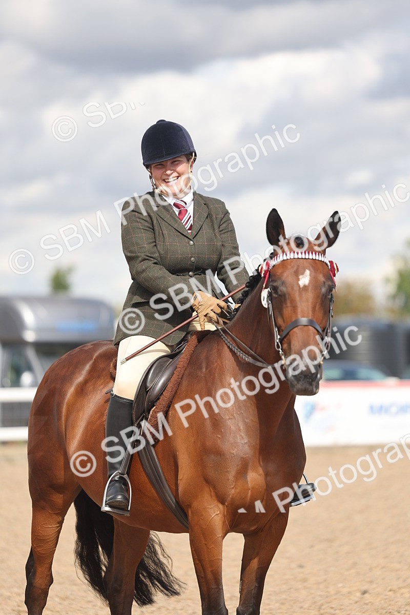 SBM_13194 - Class 306 - Ridden Foreign Breds - Part Bred