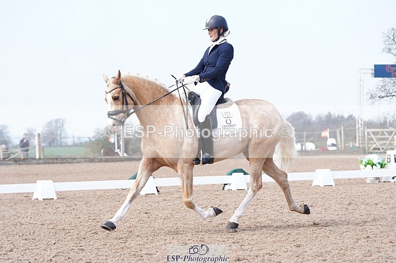 250403-125114-01986 - 058-Vikki.Pengilly-Cynheidrefawr.Isaac