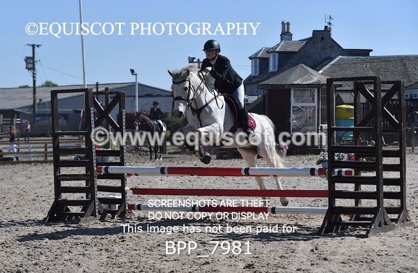 BPP_7981 - CLASS 2 Club/ Unaffiliated 80cms Open