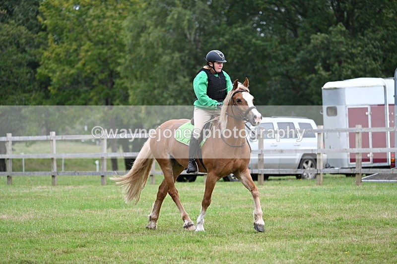 WJ7_7846 - 40cm Time 10:49 to 11:18