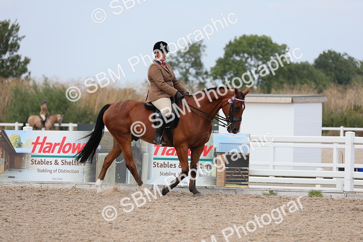 SBM_16845 - Class 314 Family Horse/Pony