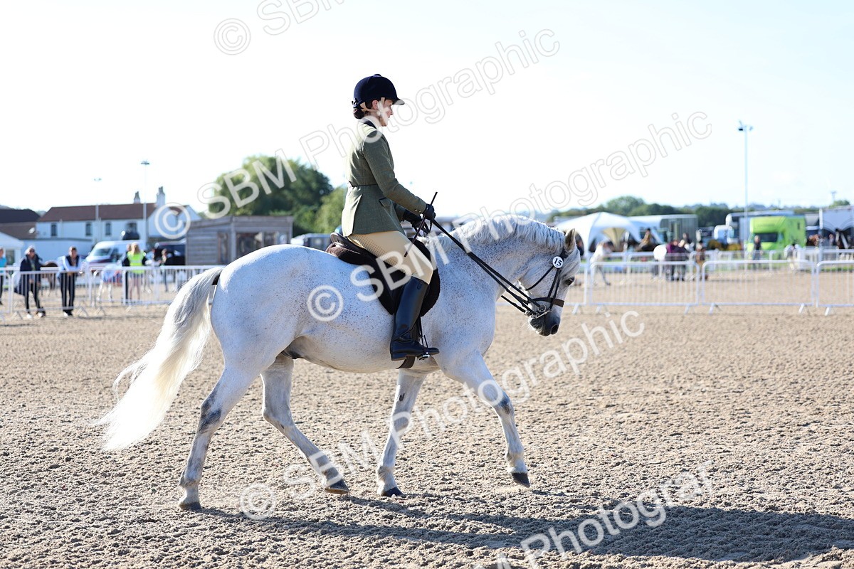 SBM_08849 - Class 302 - Ridden M&M - Large Breeds