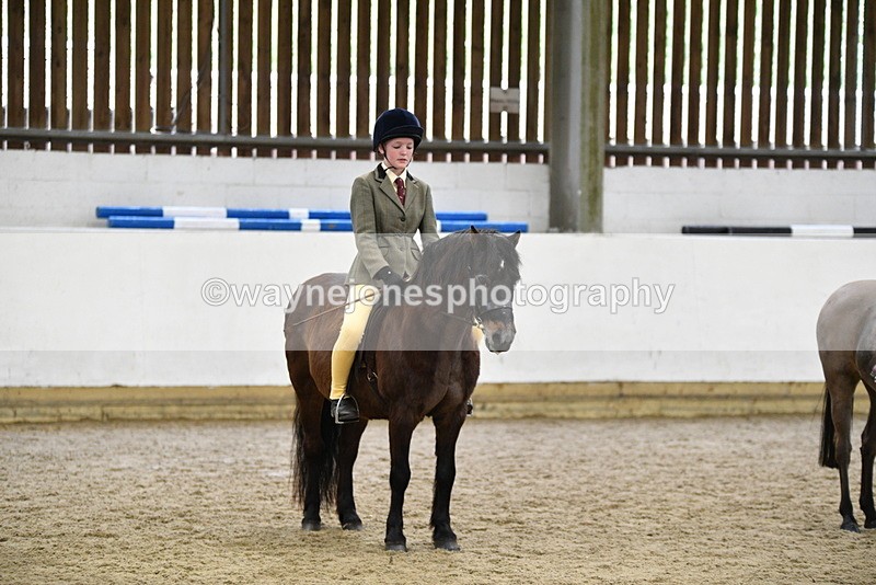 WJ5_7051 - Class 10 Childs Pony