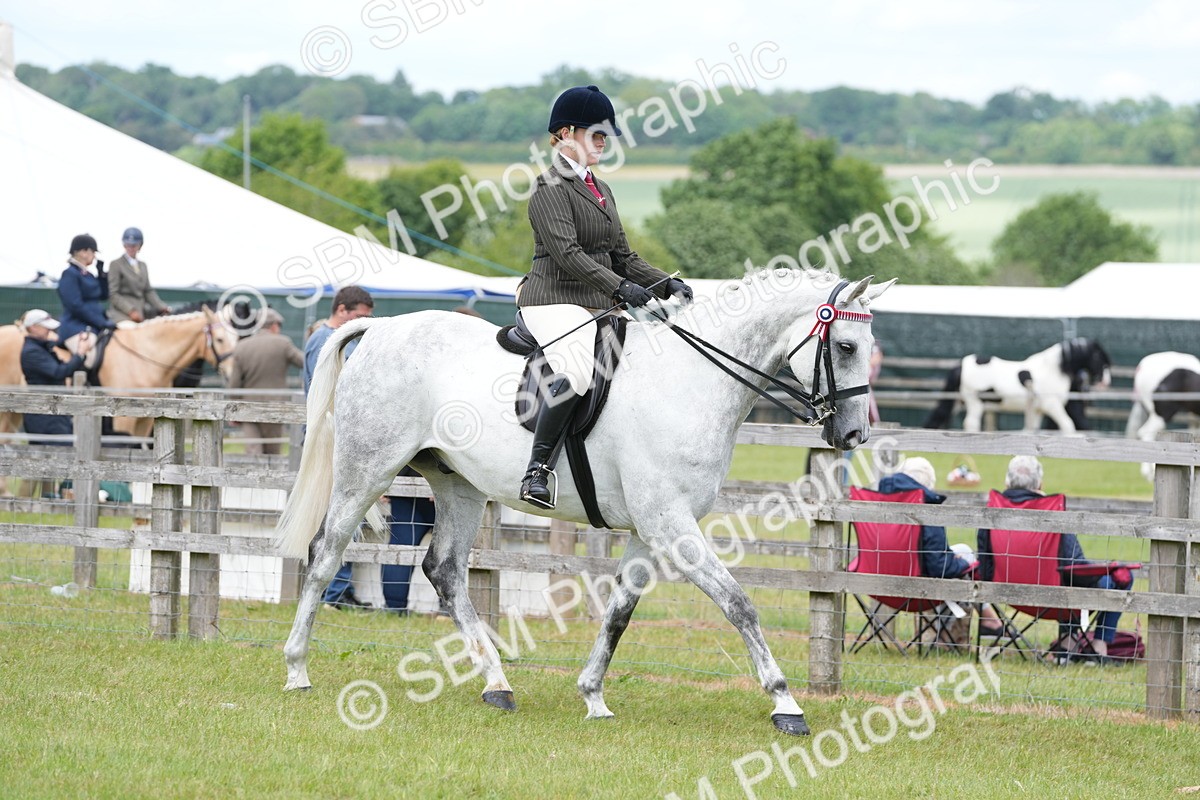 SBM_16147 - Class 105-106 - RIHS Riding Horses
