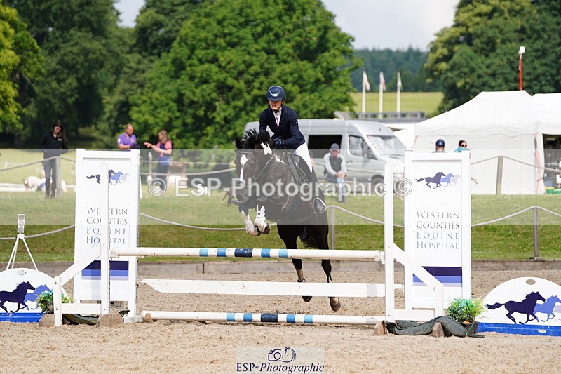 250615A-100354-10007 - Class 43 British Novice 90cm Open