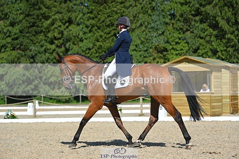 230526-160320-07250 - 253-MY_EASTWOOD_BRIGHTSIDE-Darcy_Zander-WEDTrotUp+DR