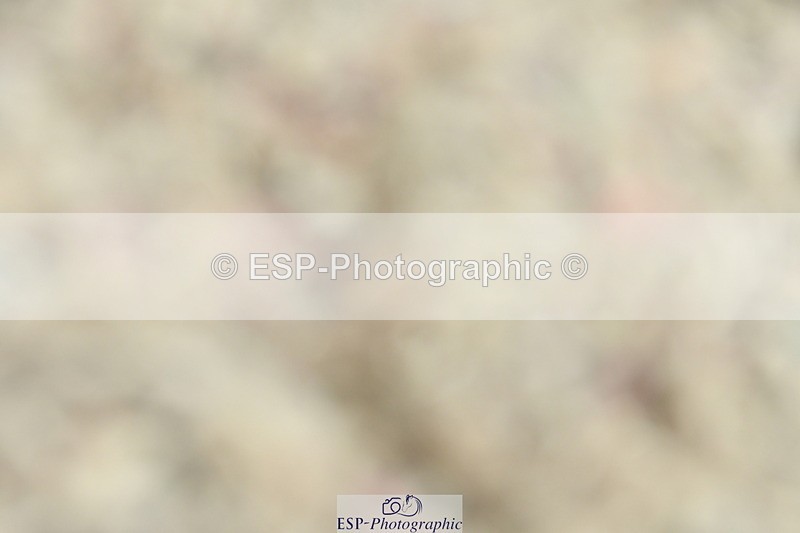 230630A-114646-01698 - Cls 7 Elementary 45