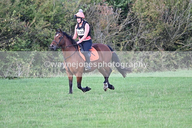 WJ7_1209 - Time 13:56 to 14:24