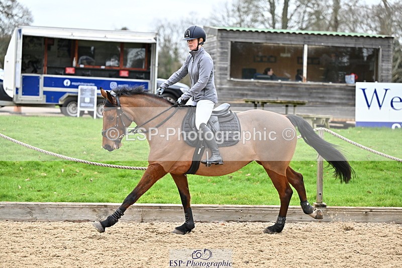 250201A-103412-00257 - Cls 01 Local Horse 90cm