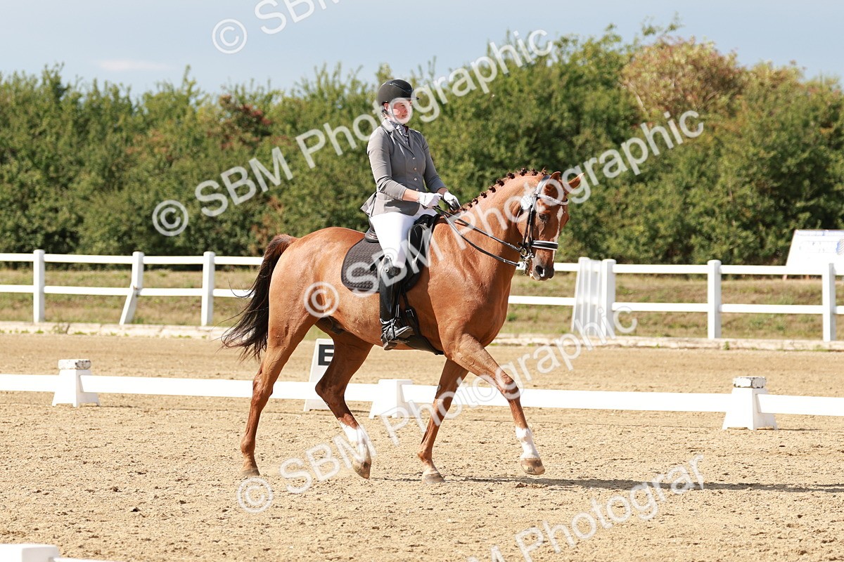 SBM_002539 - Class 11 - Medium 6