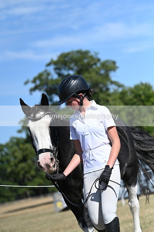 WJ7_1809 - Class 43 Best Six Legs (In hand)