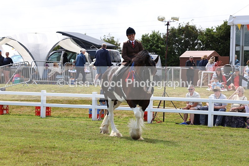 3E7A2860 - Class 13: Heavy Horse Ridden