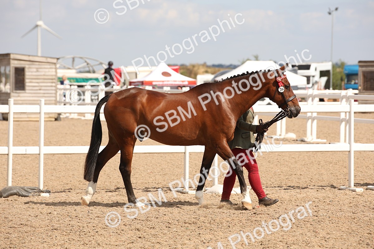 SBM_04520 - Class 20 IH Veteran