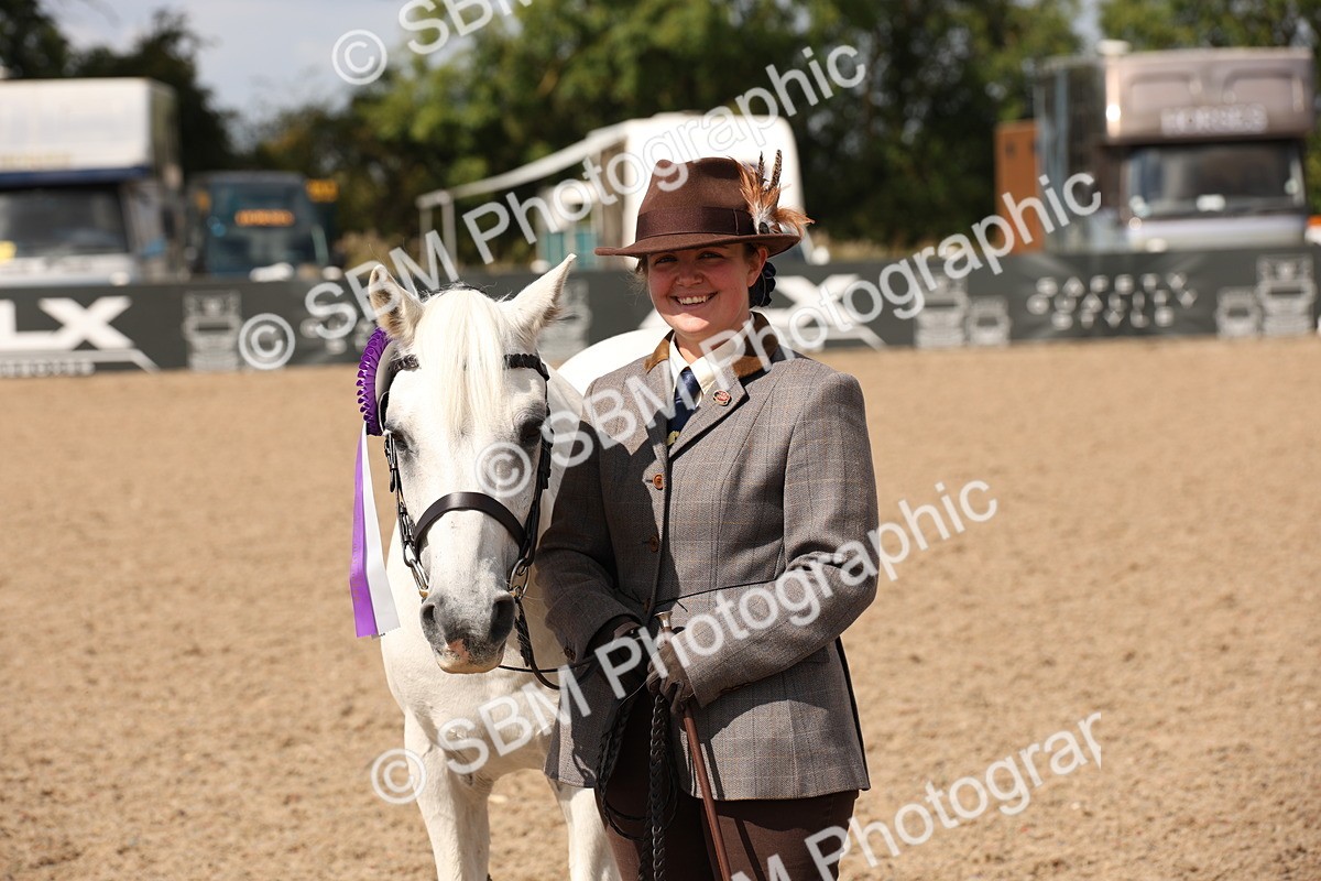 SBM_03461 - Class 18 Handsomest Gelding (IH or Ridden)