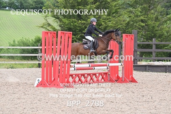 BPP_2788 - CLASS 5 STX-UK Pony BritiNovice / 0.80m Open