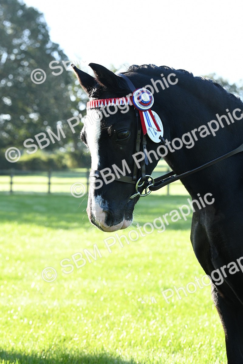 SBM_34048 - S16 - Condition & Turnout - Ridden