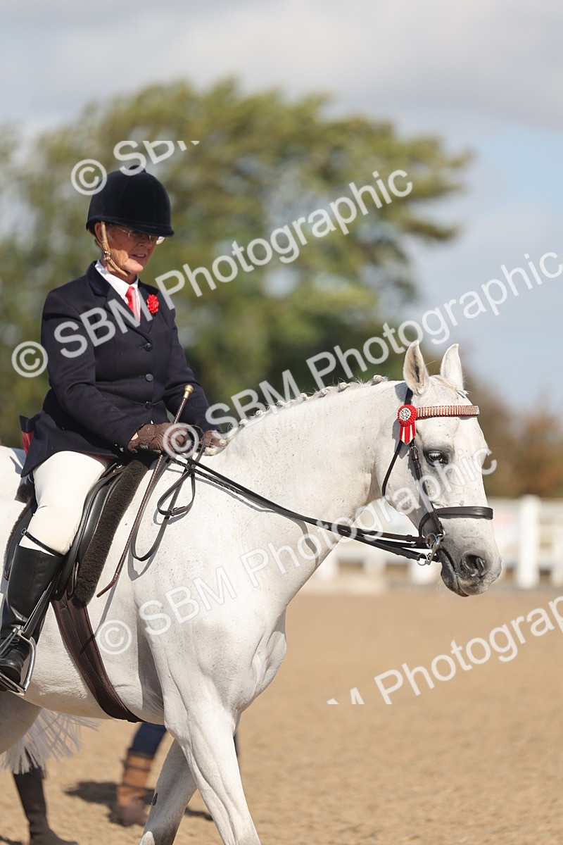 SBM_22667 - Class 805 - Ridden Veteran Horse